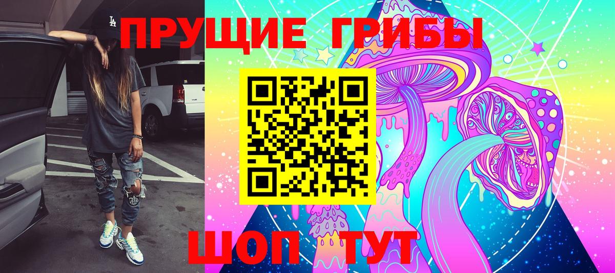 Псилоцибиновые грибы мицелий Киржач