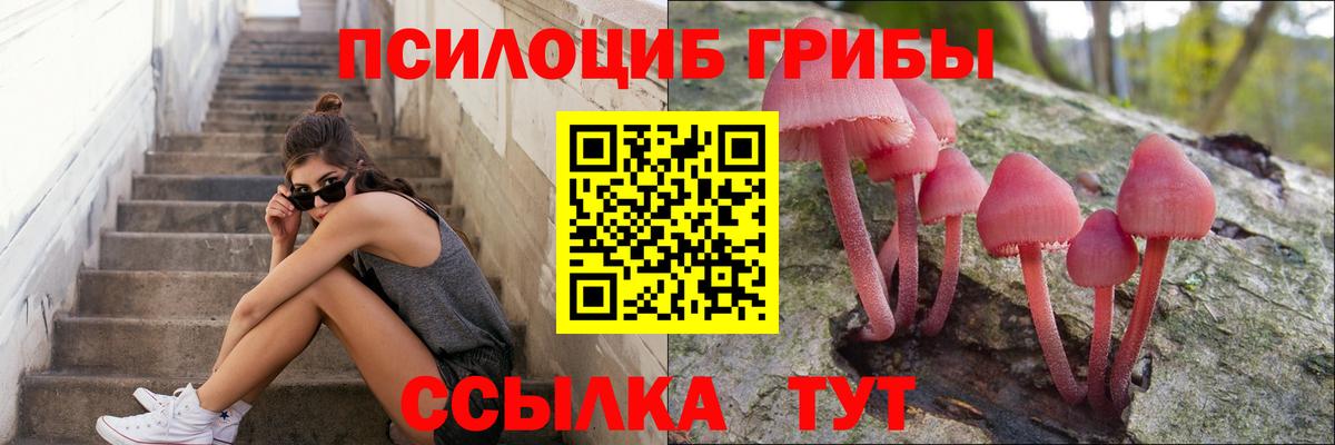 Псилоцибиновые грибы ЛСД  Вход с VPN  Киржач  Псилоцибиновые грибы Magic Shrooms 